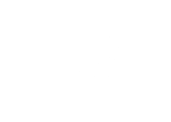 WorstGenerationApparel logo