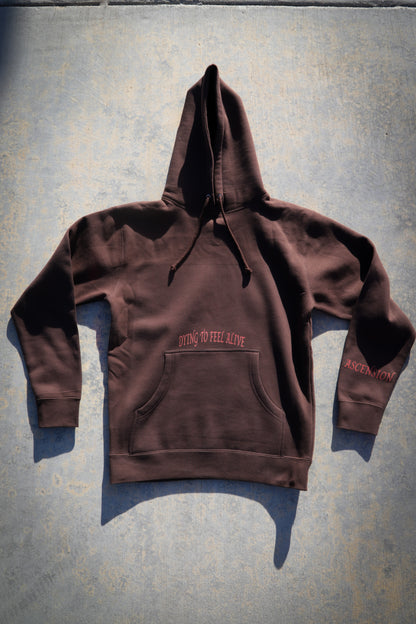 Phoenix Hoodie